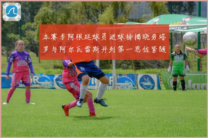 本赛季阿根廷球员进球榜揭晓劳塔罗与阿尔瓦雷斯并列第一恩佐紧随其后