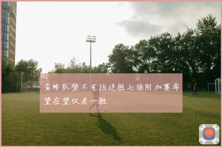 黄蜂队势不可挡连胜七场附加赛希望在望仅差一胜