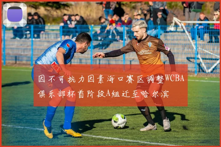 因不可抗力因素海口赛区调整WCBA俱乐部杯首阶段A组迁至哈尔滨